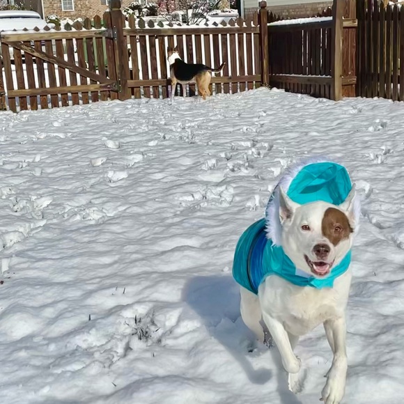 Meet your Posh Ambassador, Becca 🦄 - Picture 9 of 10